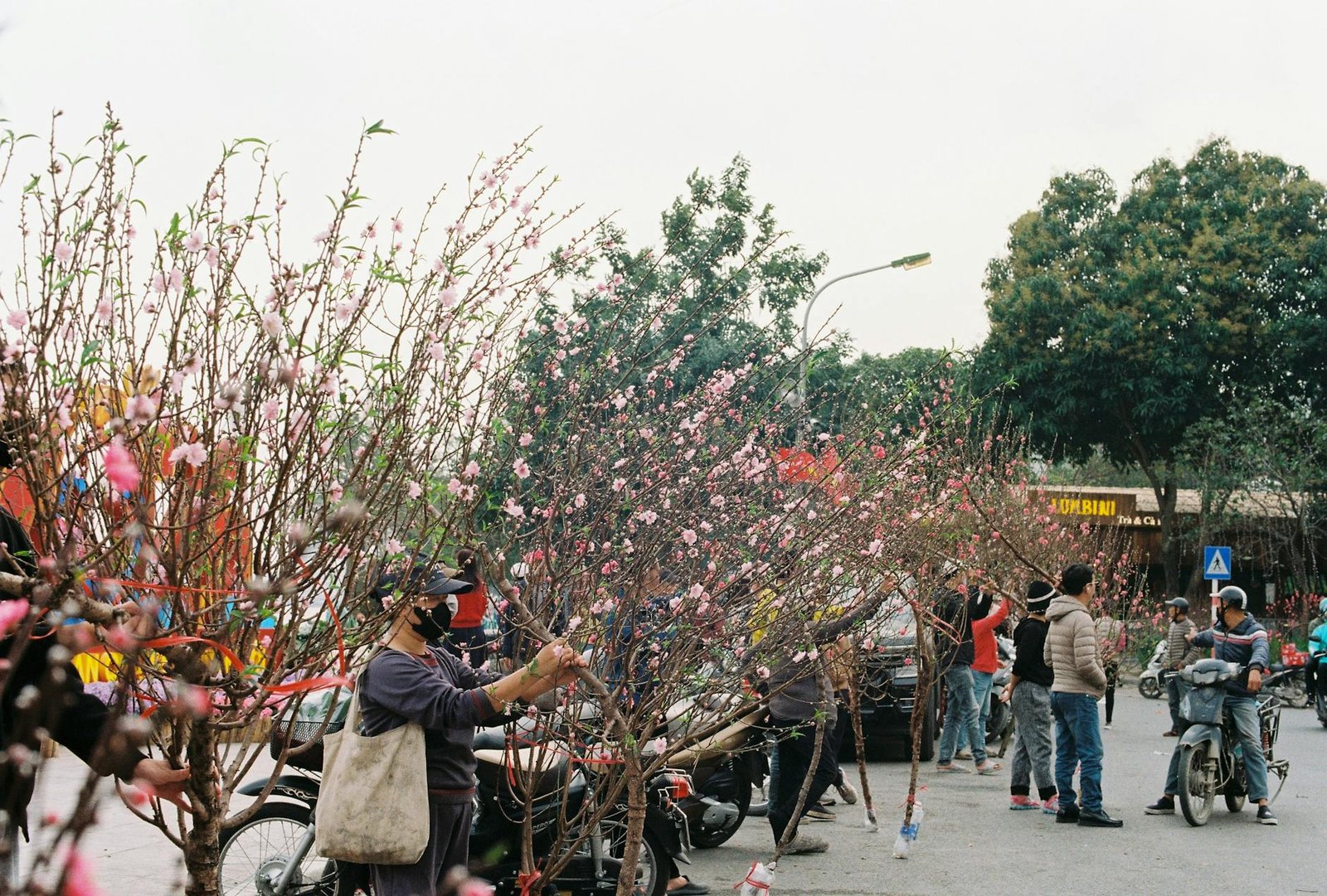 The 48-Hour Collapse From Diplomacy to Military Strikes